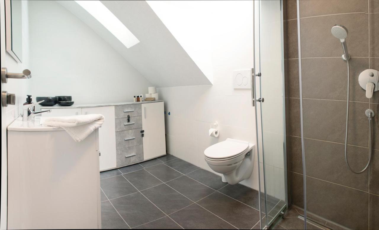 Modernes 80 Qm Apartment Mit Balkon Und Innenstadtnah Lörrach Eksteriør bilde
